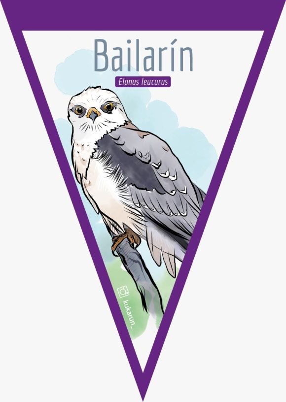 Banderin Bailarín