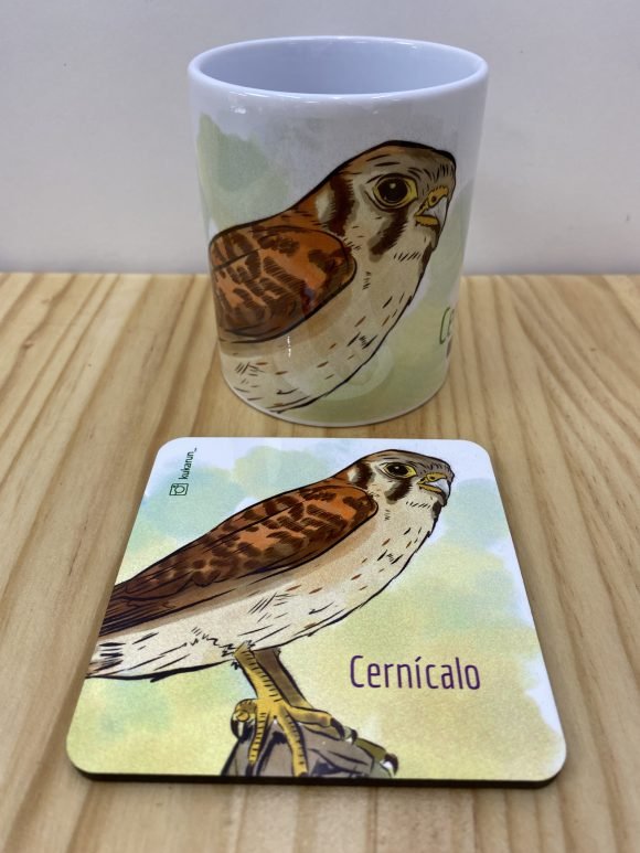 Pack Tazón con Posa tazón Cernícalo