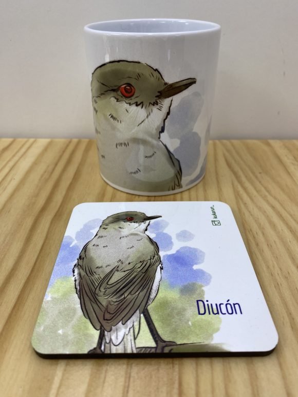 Pack Tazón con Posa tazón Diucón