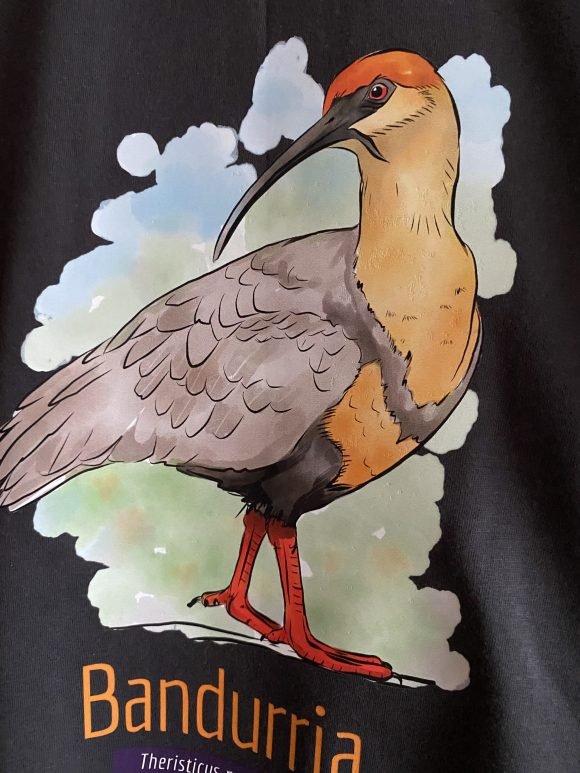 Polera Bandurria Talla M - Imagen 2