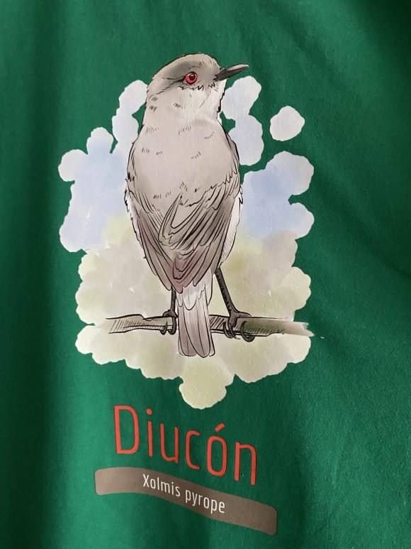 Polera Diucón - Imagen 2