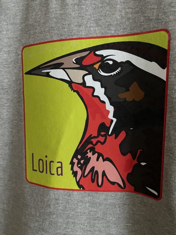Polera Loica Talla L - Imagen 2