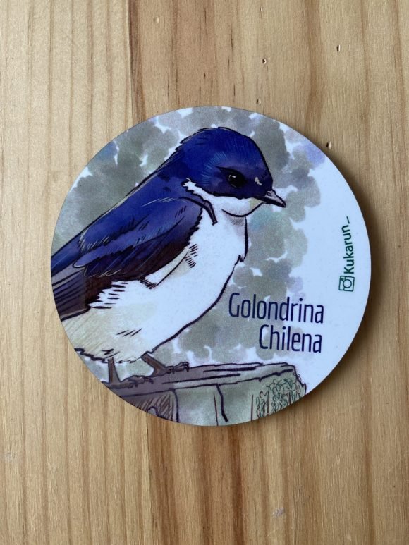 Posavaso Golondrina Chilena