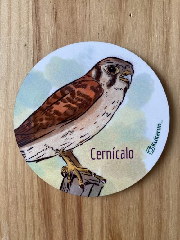 Posavaso redondo Cernícalo