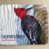 Mouse Pad Carpintero Negro