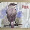 Mouse Pad Diucón