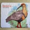 Mouse Pad Bandurria