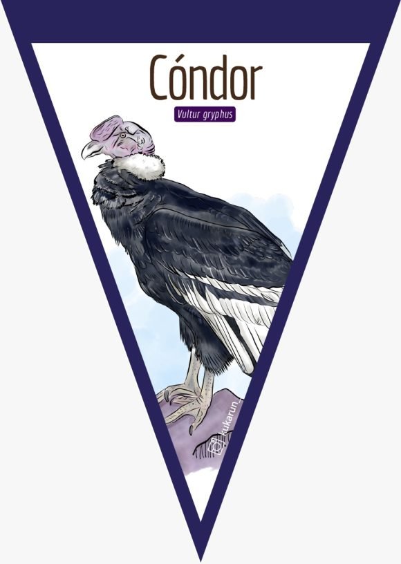 Banderín Cóndor