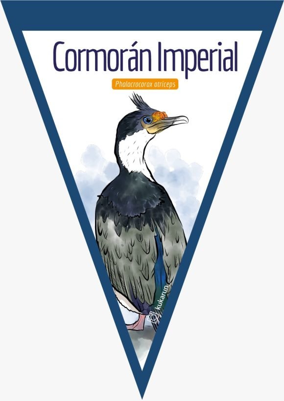 Banderín Cormorán Imperial