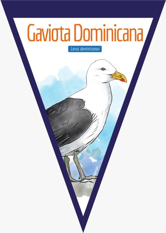 Banderín Gaviota Dominicana