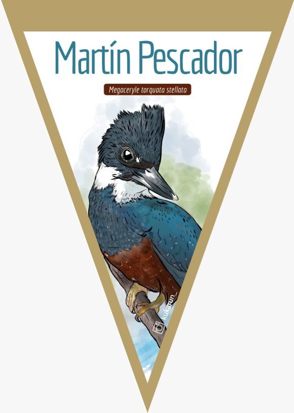 Banderín Martín Pescador