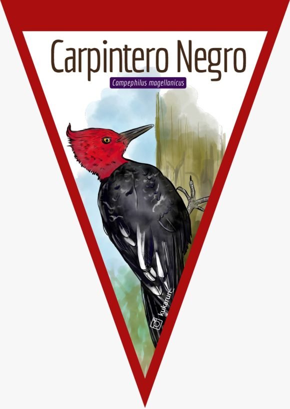 Banderín Carpintero Negro