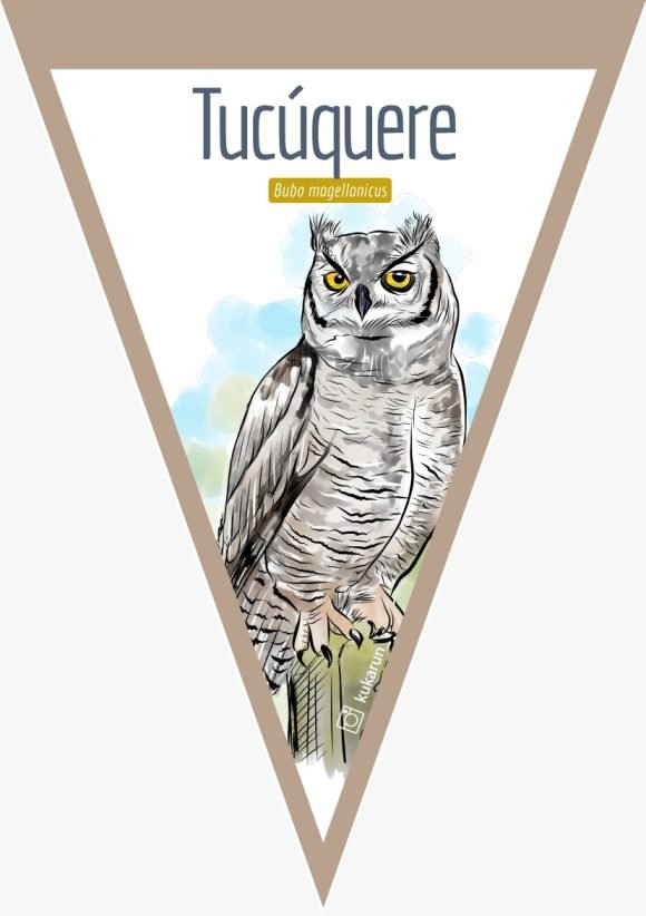 Banderín Tucúquere