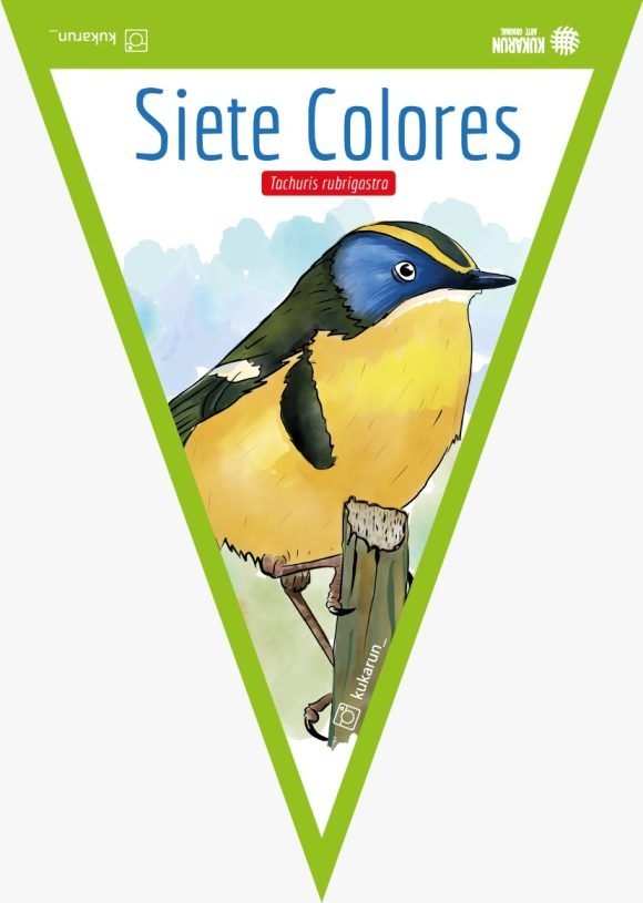 Banderín Siete Colores