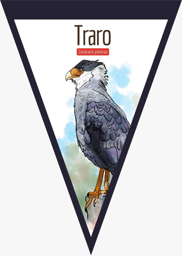 Banderín Traro