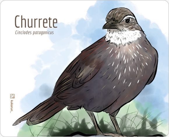 Mouse Pad Churrete