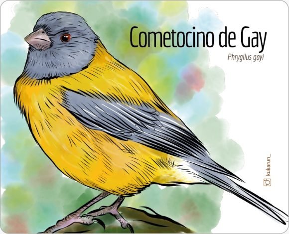 Mouse Pad Cometocino de Gay