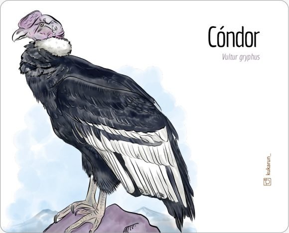 Mouse Pad Cóndor