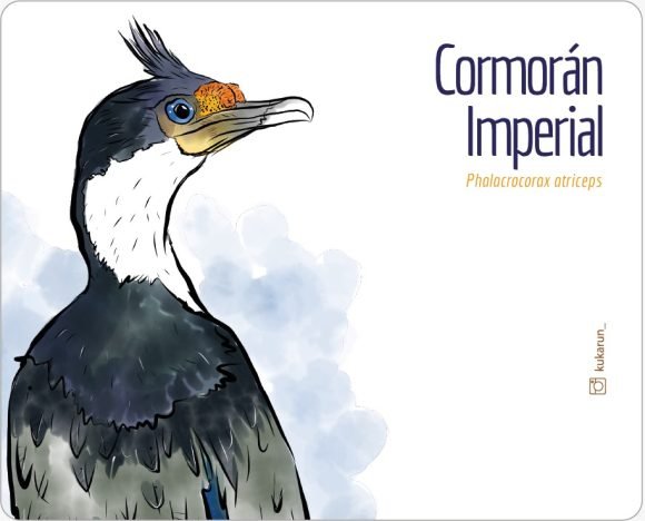 Mouse Pad Cormorán Imperial
