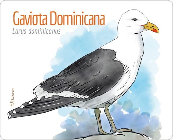 Mouse Pad Gaviota Dominicana