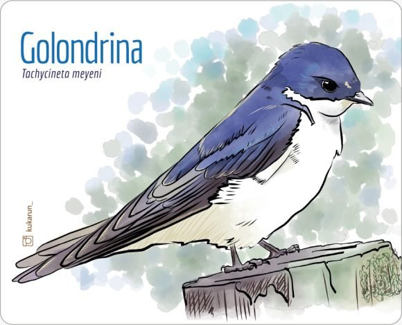Mouse Pad Golondrina