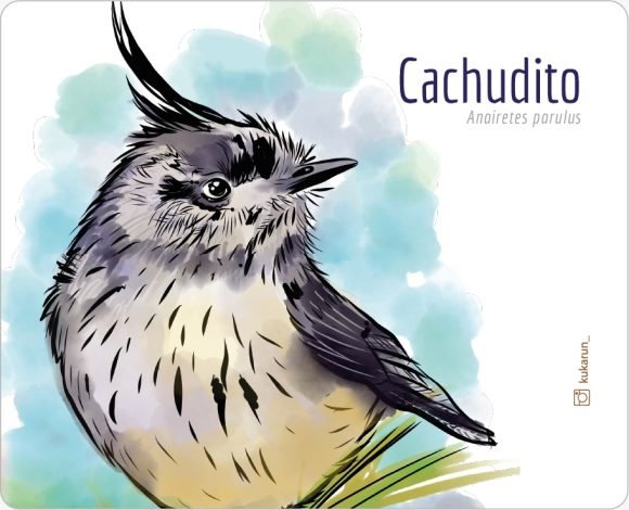 Mouse Pad Cachudito