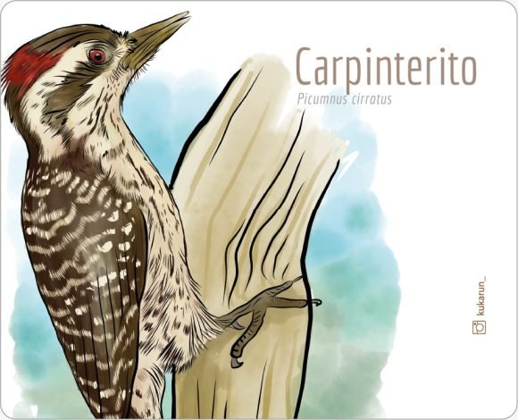 Mouse Pad Carpinterito