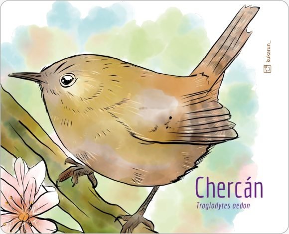 Mouse Pad Chercán