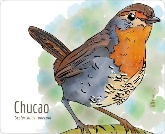 Mouse Pad Chucao