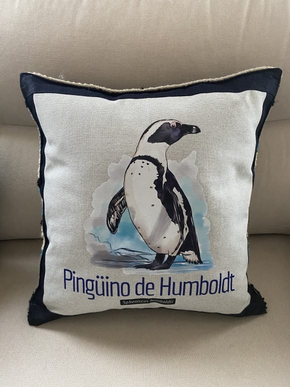 Cojin Pinguino 1