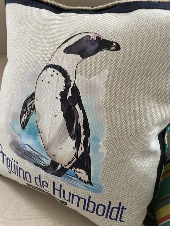 Cojin Pinguino 1 - Imagen 4