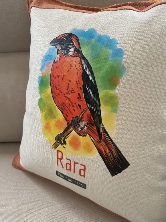 Cojin Rara 1 - Imagen 2