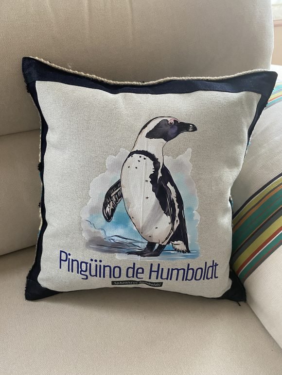 Cojin Pinguino 1 - Imagen 3