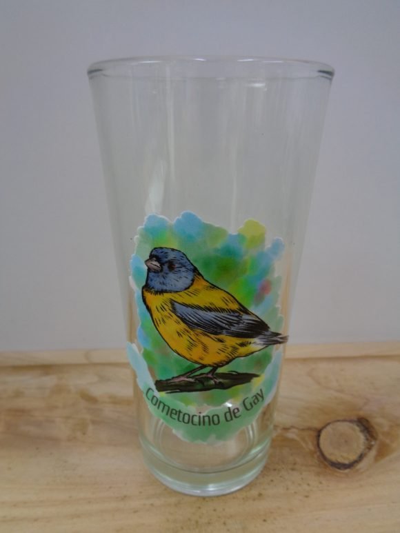 Vaso Diseño Cometocino de Gay