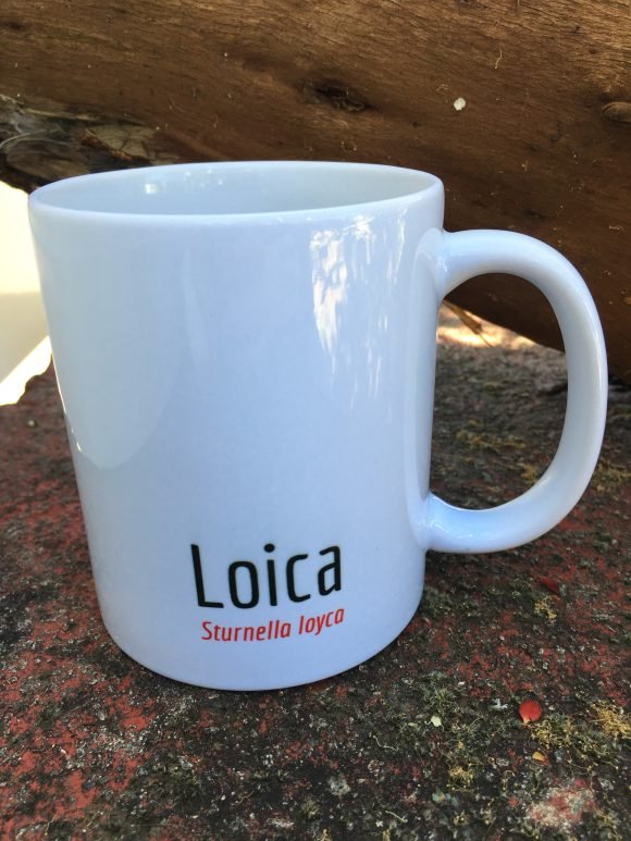 Tazón Loica - Imagen 3