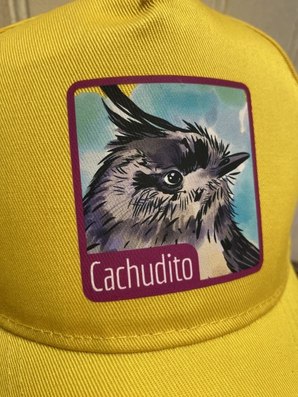 Jockey Cachudito - Imagen 2