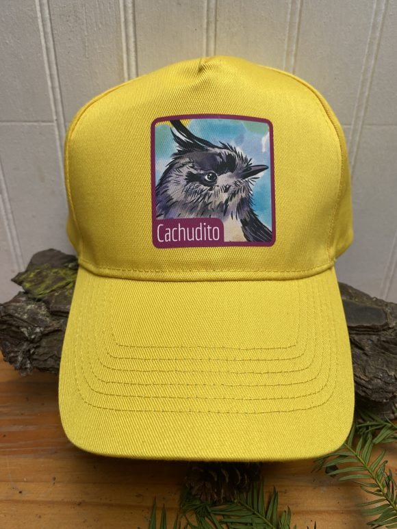Jockey Cachudito