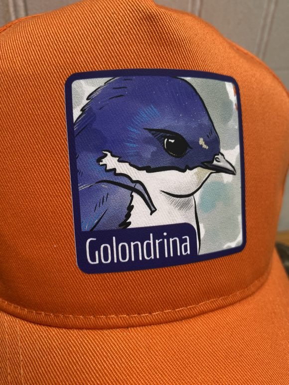 Jockey Golondrina - Imagen 2