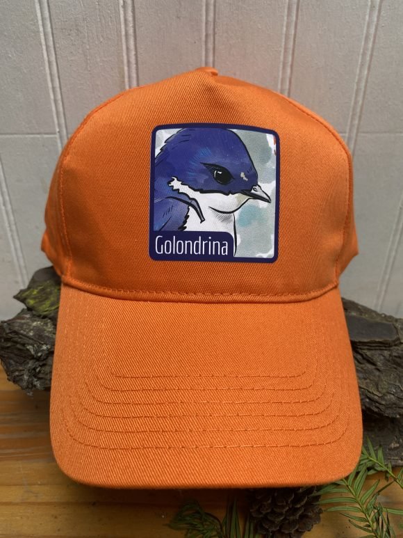 Jockey Golondrina