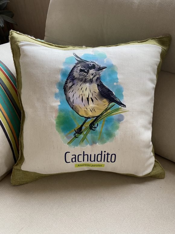 Cojin Cachudito
