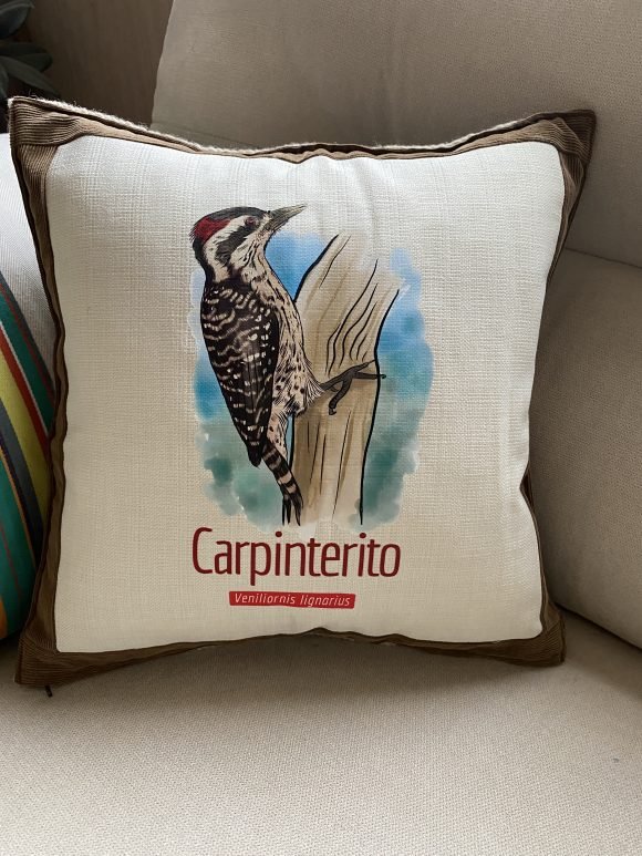 Cojin Carpinterito