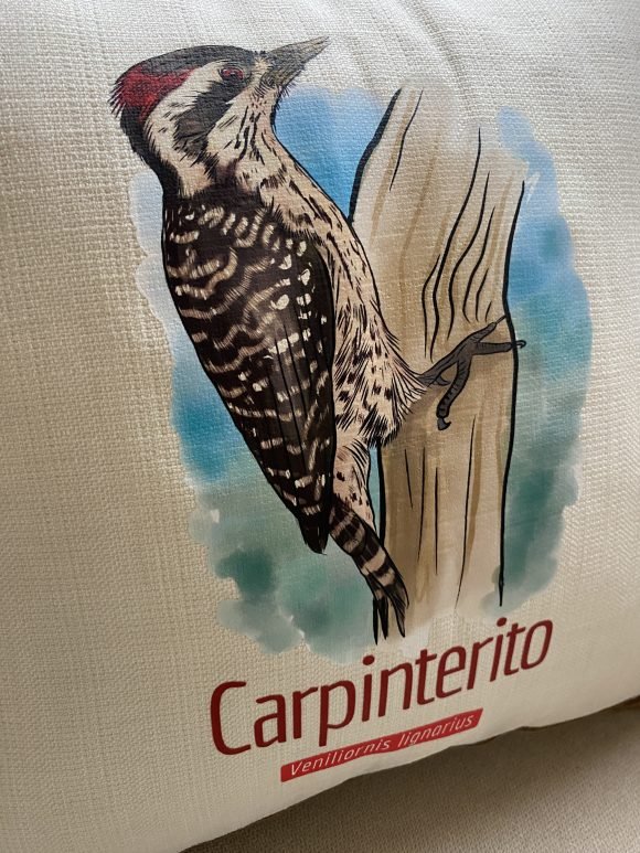 Cojin Carpinterito - Imagen 3