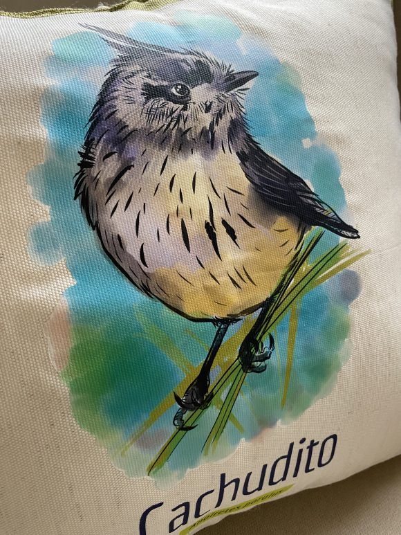 Cojin Cachudito - Imagen 3