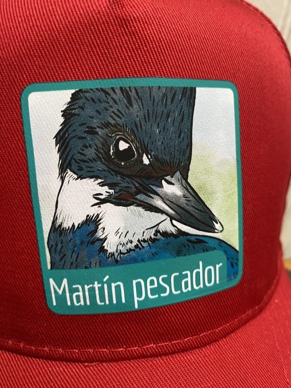 Jockey Martin Pescador - Imagen 2