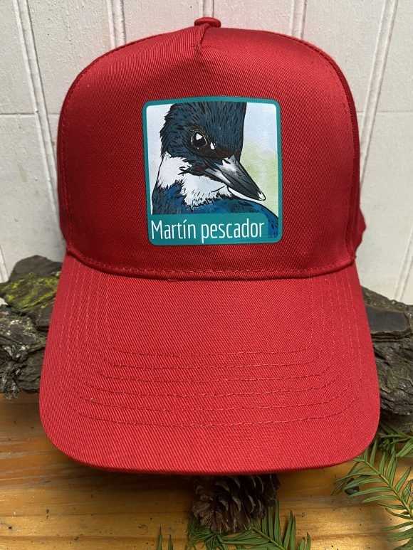 Jockey Martin Pescador