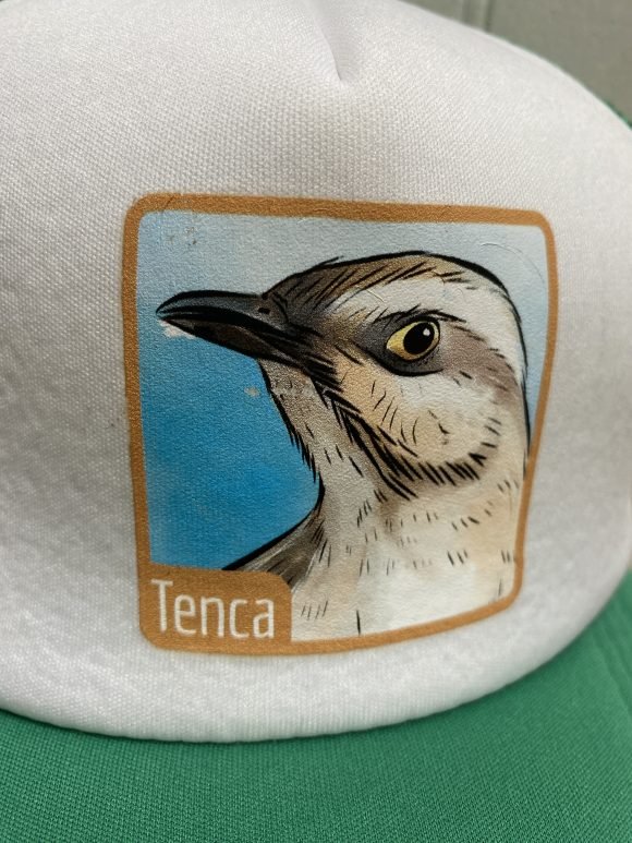 Jockey Tenca - Imagen 2