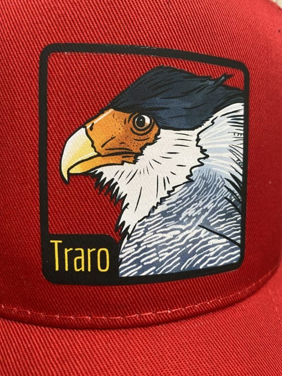 Jockey Traro - Imagen 2