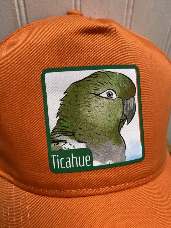 Jockey Tricahue - Imagen 2
