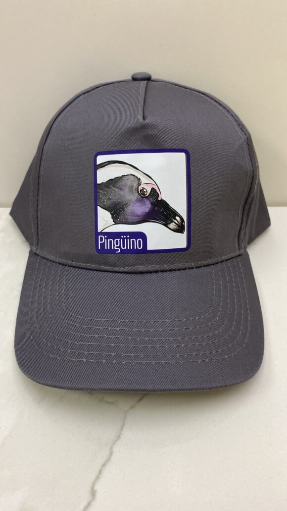 Jockey Pinguino de Humboldt