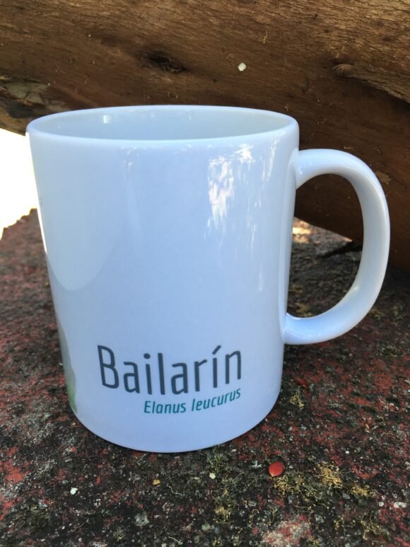 Tazón Bailarín - Imagen 2